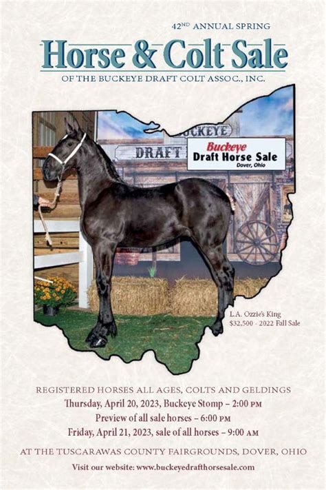 The <b>sale</b> includes thousands of tack items, antiques, saddles, harnesses, collars, <b>horse</b> drawn machinery, carriages, box wagons, buggies, trailers and sleighs. . Mid america draft horse sale catalog
